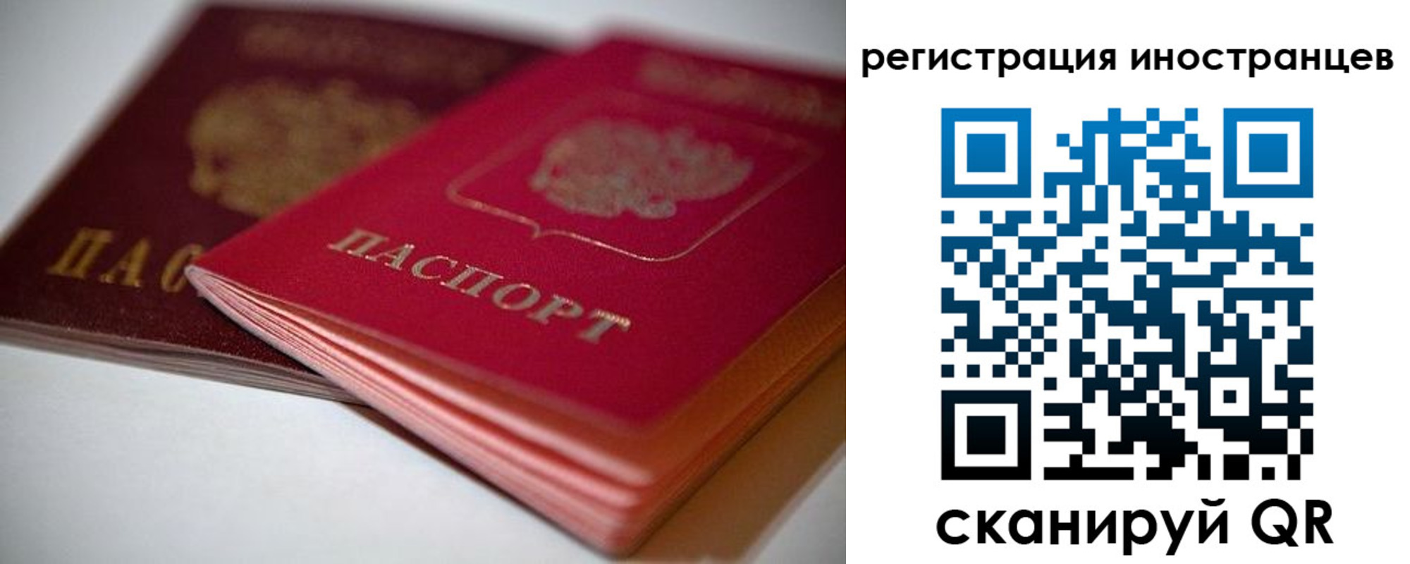 прописка штамп в Свободном